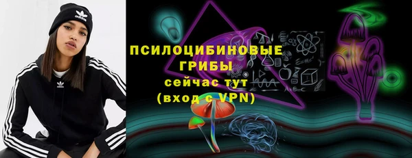 дживик Балахна