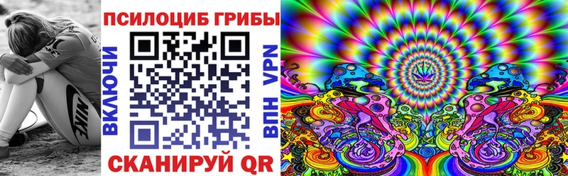 Псилоцибиновые грибы мицелий  Куртамыш 
